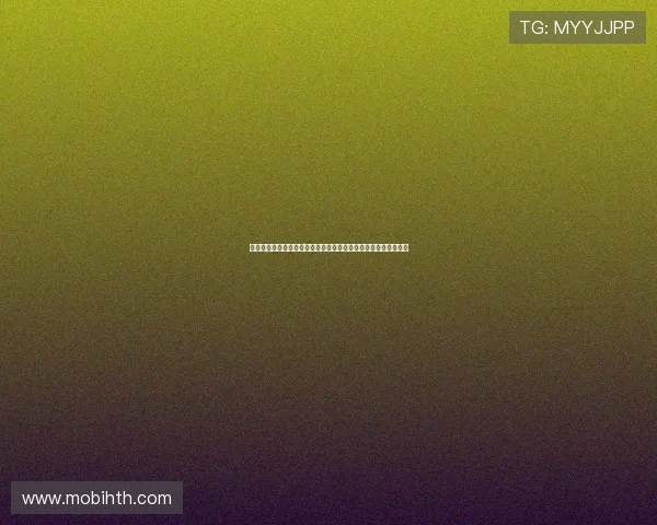 华体会直营平台的操作流程与支付方式详解助你轻松畅享体育娱乐