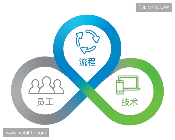 半岛体育平台会员专属内容和定制化服务介绍